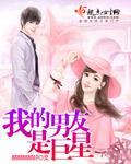 我的巨星男友书籍