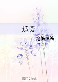 适爱姿