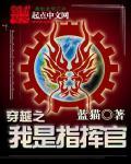 我是航空指挥官4