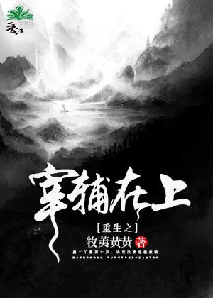 重生之宰辅在上百度