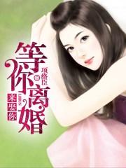 等你离婚歌曲