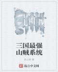 最强山贼系统吧