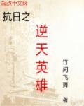 抗日之英雄传奇免费阅读