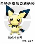 口袋妖怪一般系带什么道具