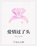 过了爱情的年纪什么歌
