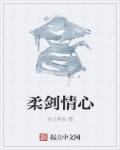 柔剑汽车功放是哪里产的