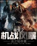 战机风暴2
