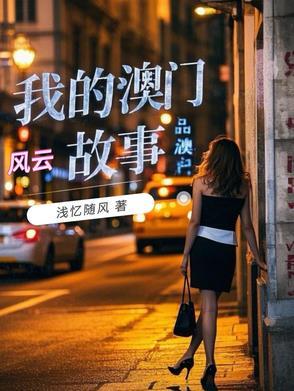 澳门风云简介100字