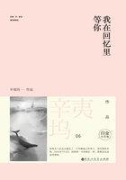 我在回忆里等你故事