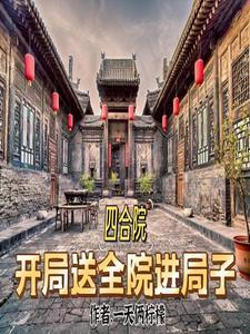 四合院开局就离婚