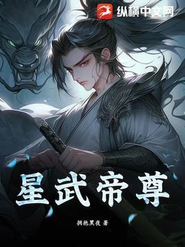 星武大帝的境界