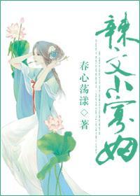 小寡妇电视剧