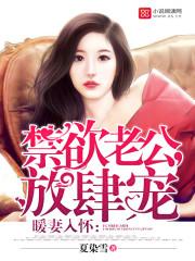 暖婚入怀暖妻入怀
