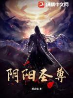 阴阳圣辰txt