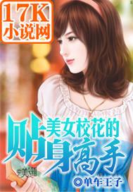 校花的贴身高手在哪个软件可以看