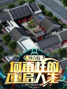四合院何雨柱的棒槌人生