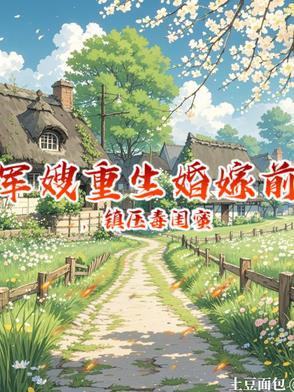 重生军嫂结婚