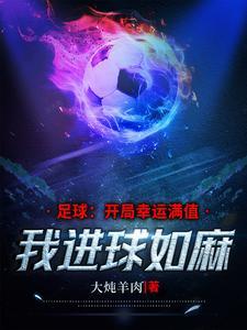 球门那么大