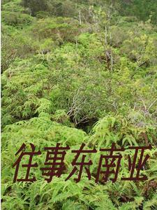 缅北逗留人员名单