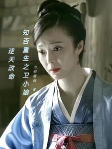知否知否卫小娘