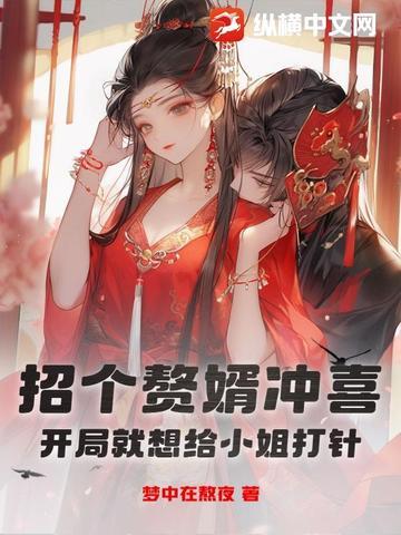 招赘入门