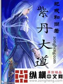 紫丹公司怎么样