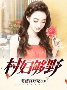 村野什么意思?