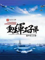 重生军工子弟无错版