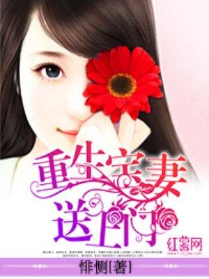 重生宝妻有点免费阅读
