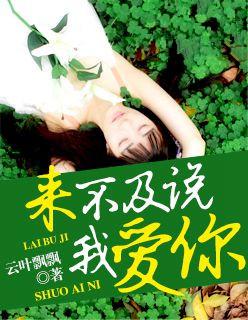 来不及说我爱你静婉结局