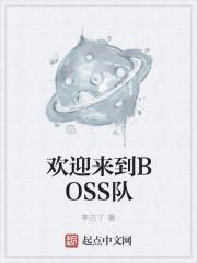 欢迎来到BOSS队 全本免费
