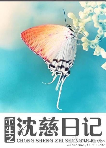 重生之沈氏