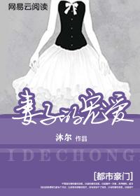 妻子的追求
