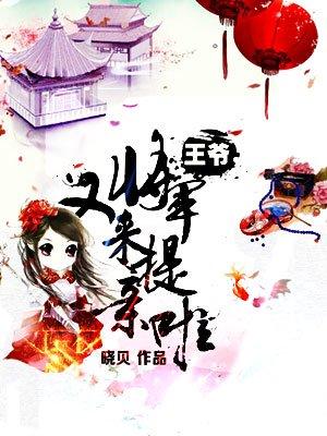 王爷出嫁了!