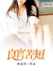 良宵难得是什么意思