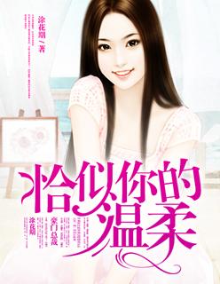 恰似你的温柔 歌词