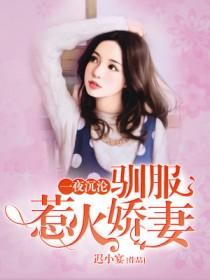 一夜沉沦驯服惹火娇妻软件