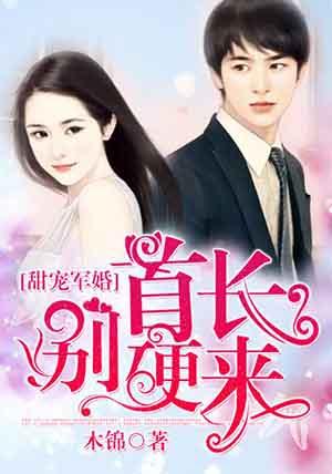甜蜜婚宠首长别硬来
