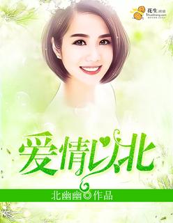 以爱情以时光讲的是什么