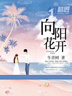 向阳花开电视剧