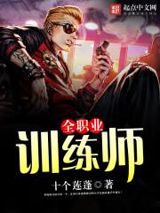 职业训练营视频