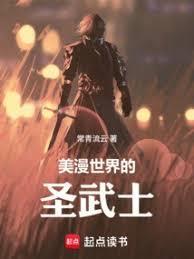 美漫世界的圣武士TXT