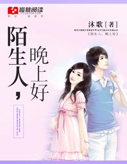 陌生人的晚安短信