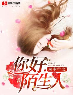 你好陌生人歌曲毛不易