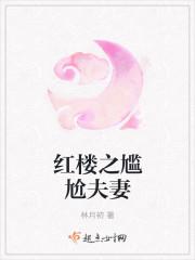 红楼之尴尬夫妻句子摘抄大全