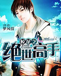 校花之高手无敌寂无