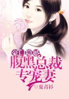 腹黑总裁太偏执