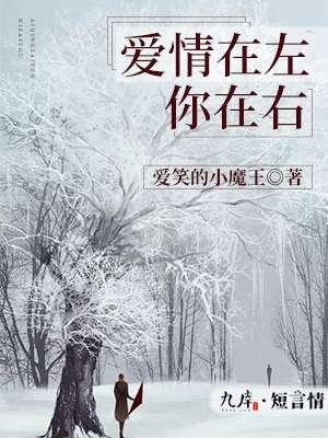 歌曲爱在左情在右