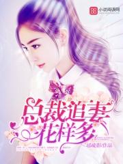 总裁追妻忙全文免费阅读