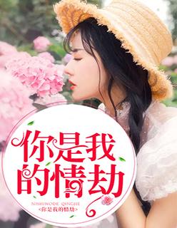 你是我的劫